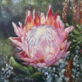 667-Little-beauty-Silvermine
