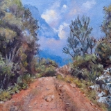 671-Walking-with-Nature