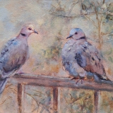 675-Our-pigeon-pair
