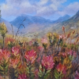 681-Beautiful-Kogelberg