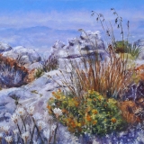 683-Table-Mountain-–-from-the-top