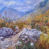 684-Kogelberg-hiking