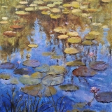 688-A-pond-of-peace