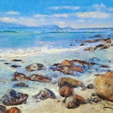 690-Buffelsbaai-Cape-point