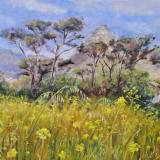 696-A-new-season-Signal-Hill