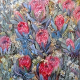 658-Pristine-proteas