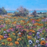 694-August-flowers-Langebaan